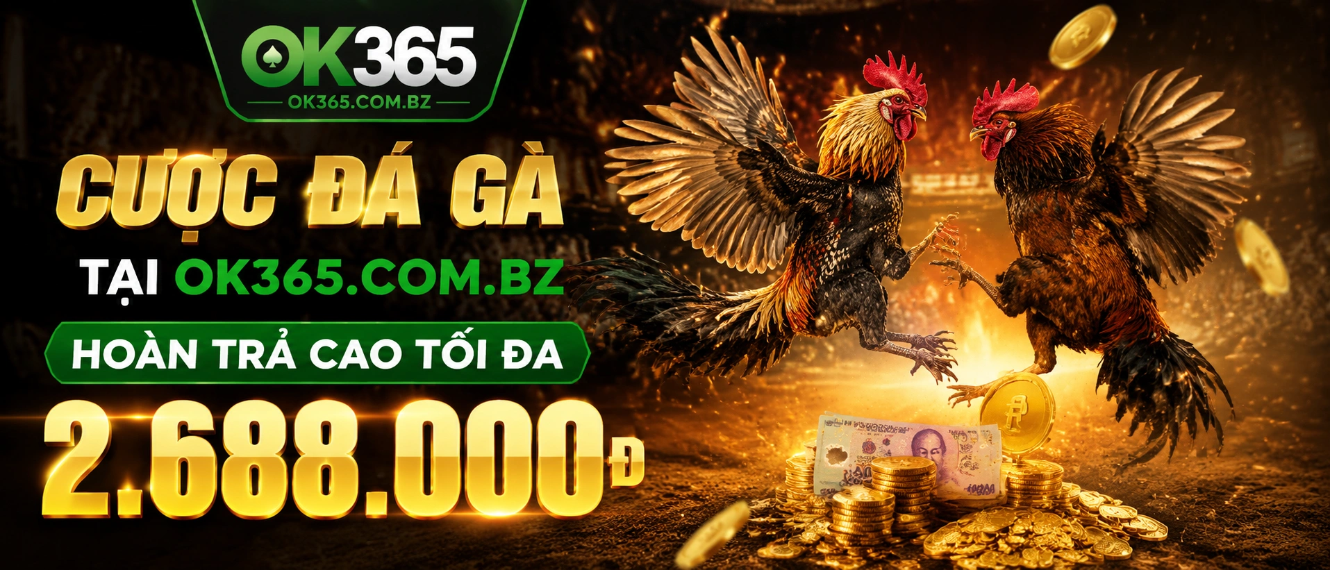 Đá Gà Trực Tiếp tại ok365.com.bz